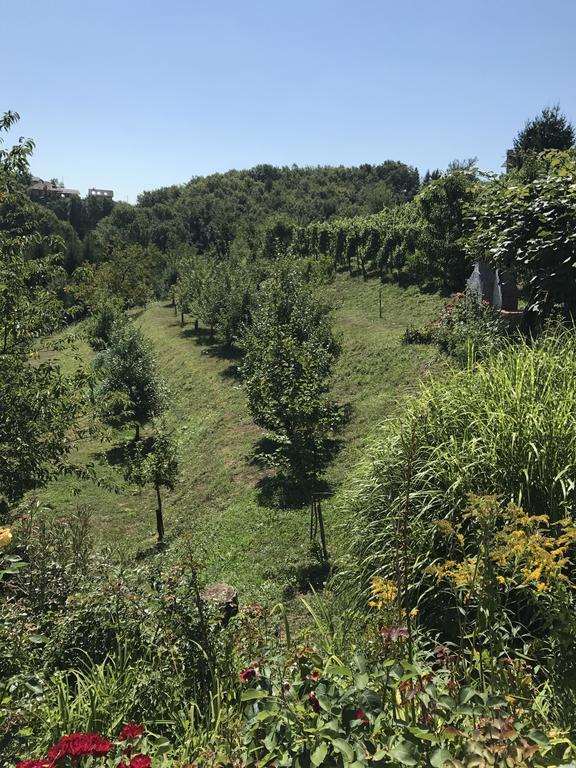 Wine & Nature & Tour Zgornji Leskovec Eksteriør billede