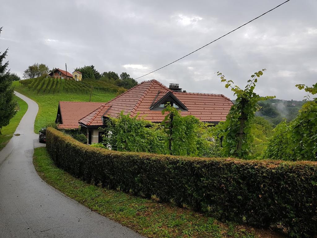 Wine & Nature & Tour Zgornji Leskovec Eksteriør billede